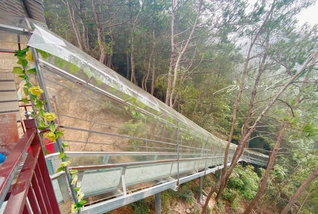 Tianxianxia Glass Slide.jpg