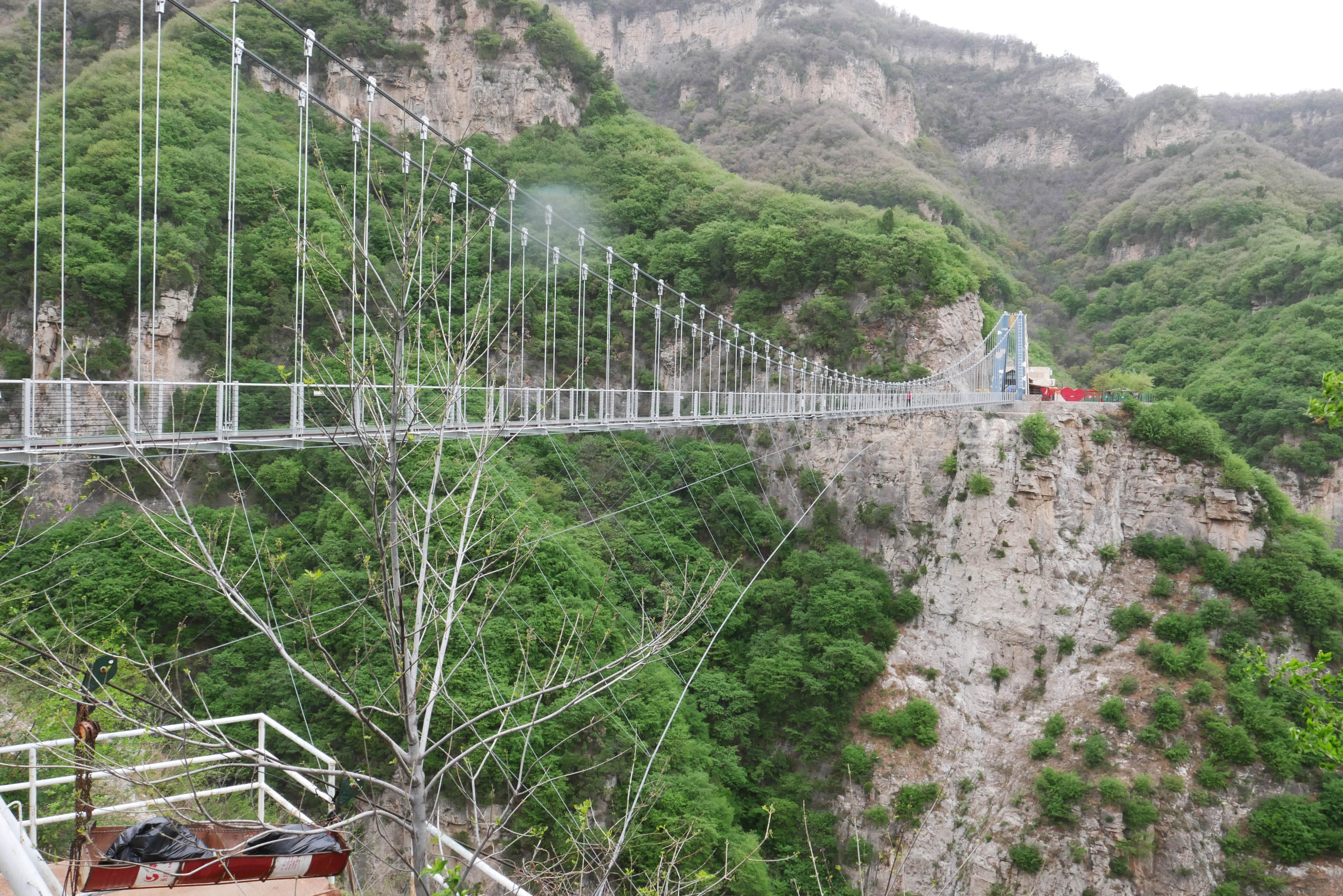 Yunqiushan GlassTreesCrossing.JPG