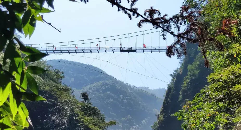 Taihuyuan Glass FootbridgeTrees.jpg