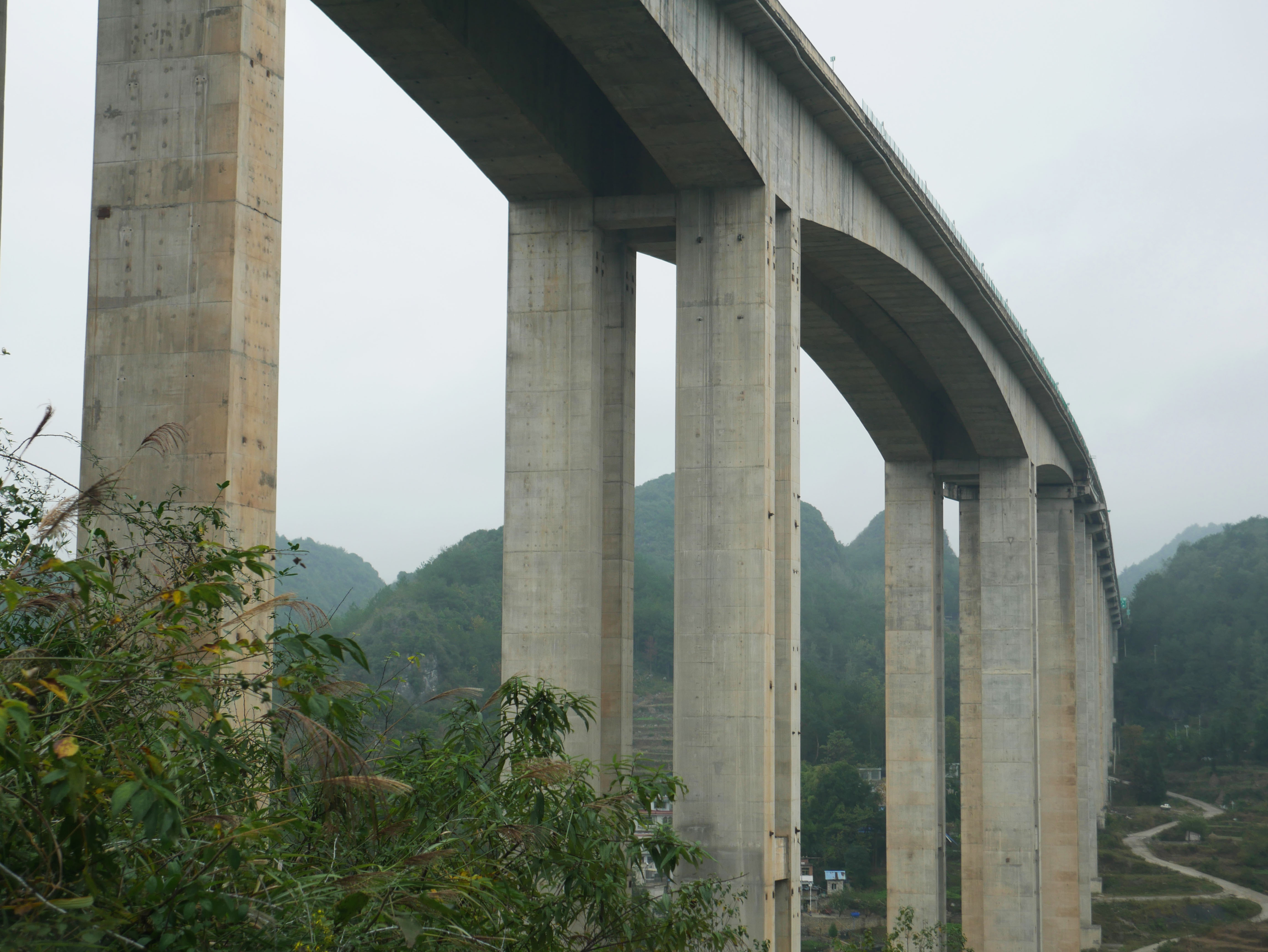 YangchaheZoom.JPG