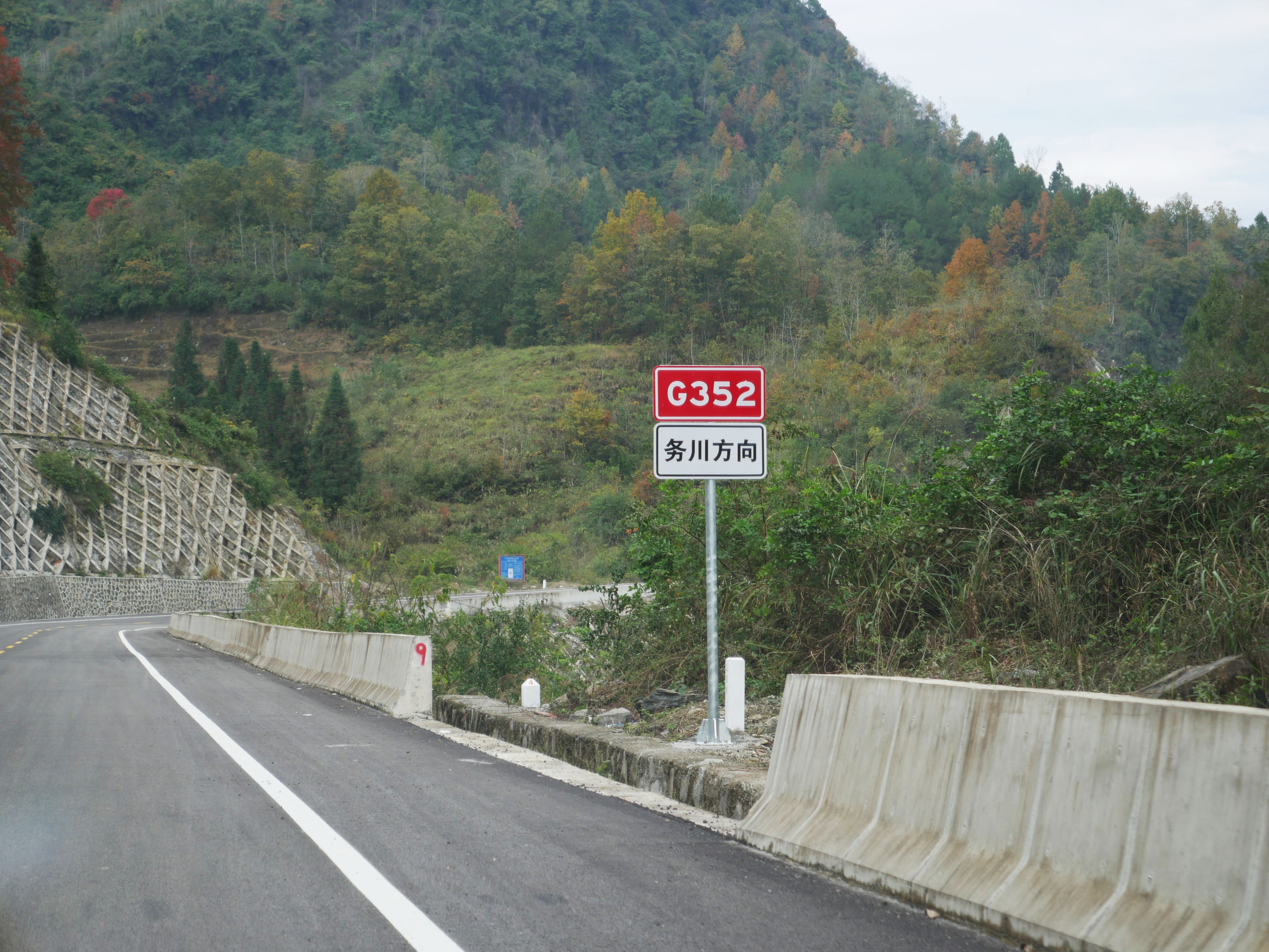 FengleNewG352Sign.JPG