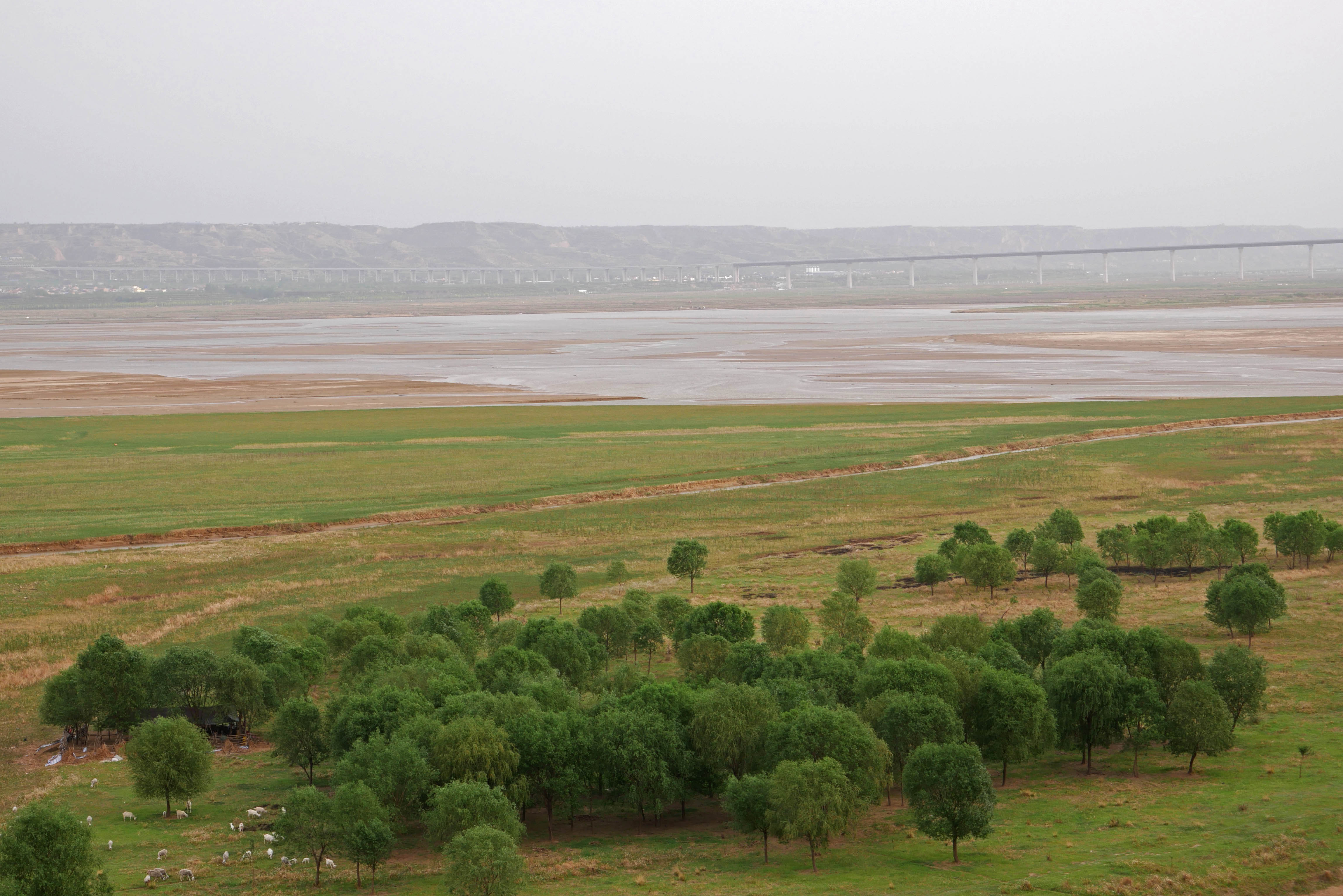 Huanghe LinyiLonglens44.JPG