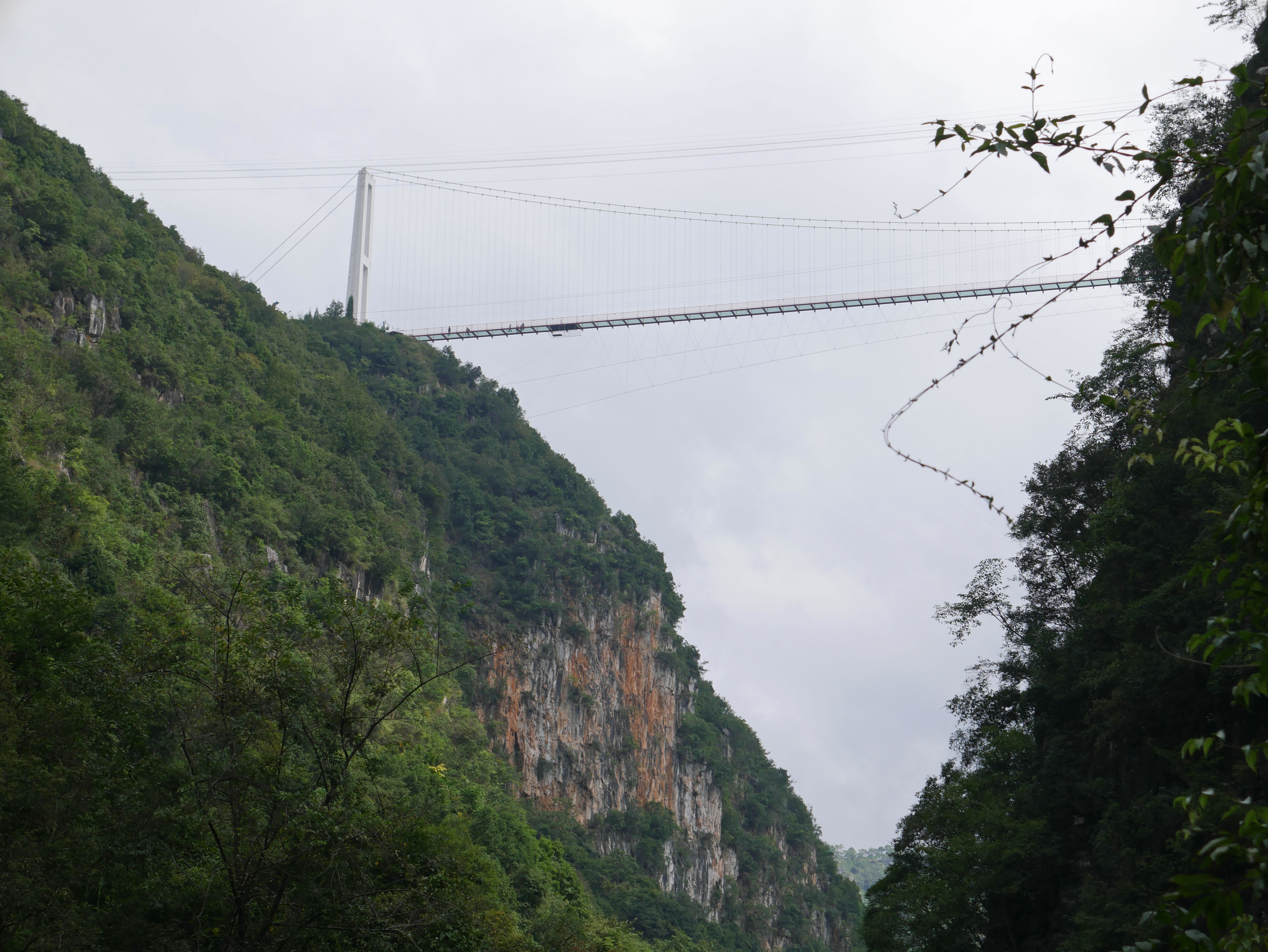 NizhuheCanyonGlassFootbridgeAbove.JPG